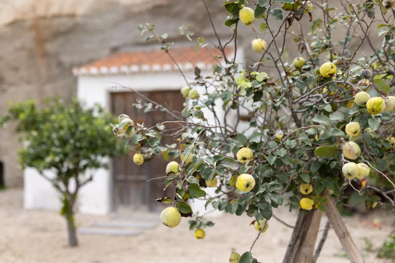 Villa L2Alma Granadilla De Abona Spain